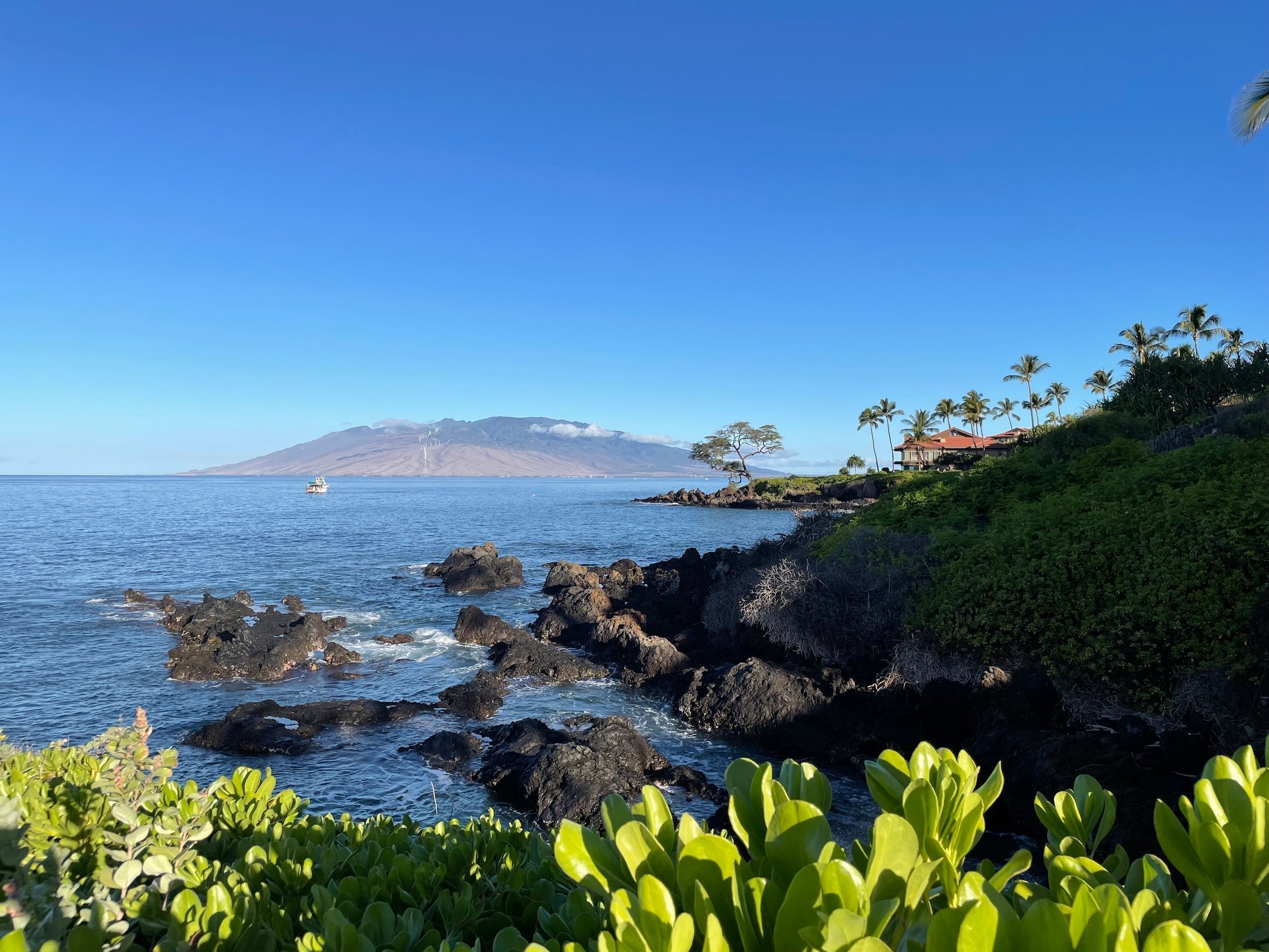 Ocean water texture with Hawaiian sea silt representing the high-absorption biofermented marine nutrients in Samson California skincare.