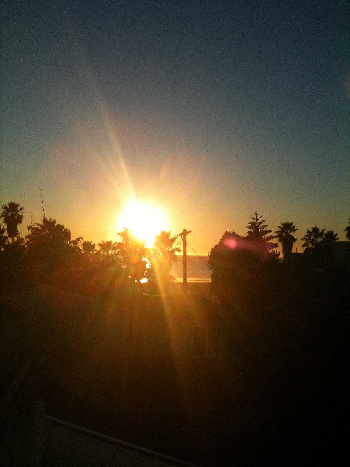 Bright sun flare over silhouetted palm trees and coastline by Samson California